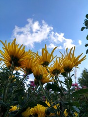 IMG_20181030_134801_HDR