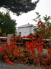 IMG_20181025_163215