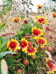 IMG_20181031_185921