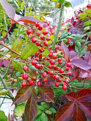 IMG_20181020_161856