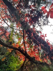IMG_20181025_101436_HDR