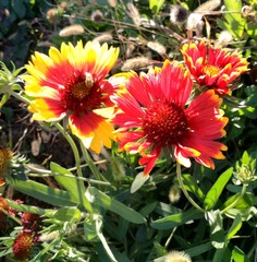 IMG_20181017_181406