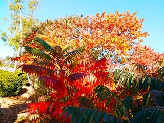 IMG_20181018_145842