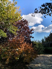 IMG_20181028_133117_HDR