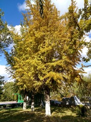 IMG_20181028_132821_HDR