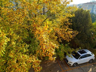 IMG_20181103_210222