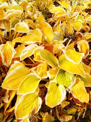 IMG_20181105_150955