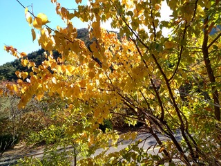 IMG_20181031_095644_HDR
