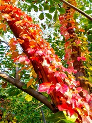 IMG_20181020_075405