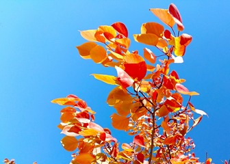 IMG_20181028_105428