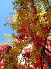 IMG_20181017_122412_HDR