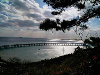 IMG_20181029_120553