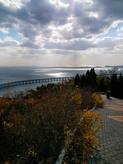 IMG_20181029_120226