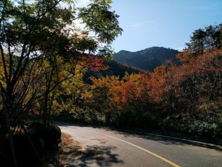 IMG_20181101_153044