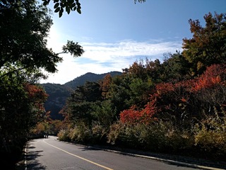 IMG_20181031_092434
