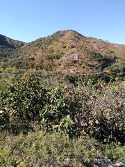 IMG_20181017_092154