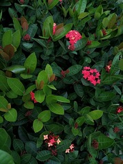 IMG_20181024_073513