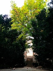 IMG_20181025_182611