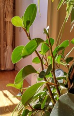 IMG_20190116_103833