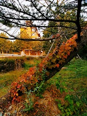 IMG_20181020_162757
