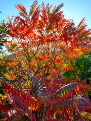 IMG_20181017_103800