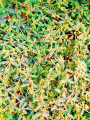 IMG_20181014_130827