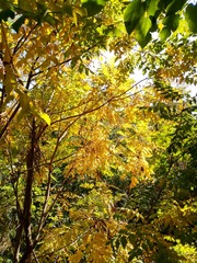 IMG_20181028_130429_HDR