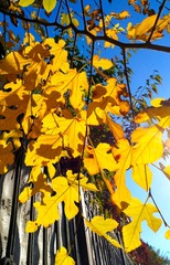 IMG_20181029_113746