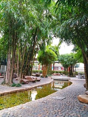 IMG_20181025_075208