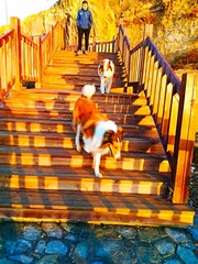 IMG_20181029_092812
