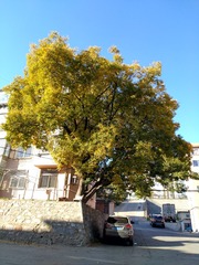 IMG_20181027_145716_HDR