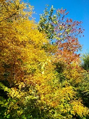 IMG_20181017_103722