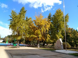 IMG_20181028_132146_HDR