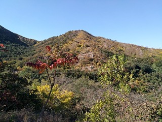 IMG_20181017_092117