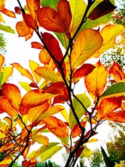 IMG_20181020_162540