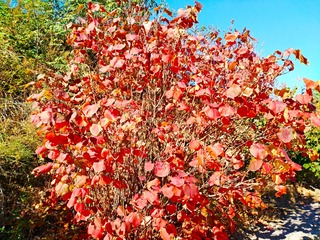 IMG_20181017_185247