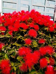 IMG_20181024_200039