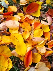 IMG_20181103_173311