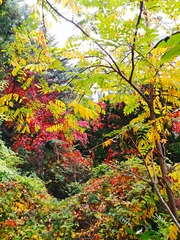 IMG_20181025_121705