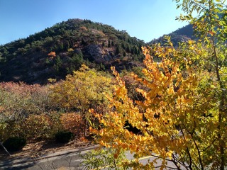IMG_20181031_095623_HDR
