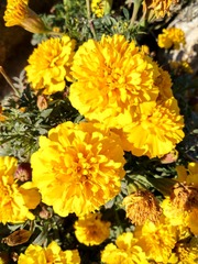 IMG_20181031_085155_HDR