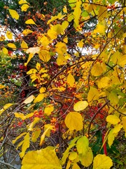 IMG_20181016_135630