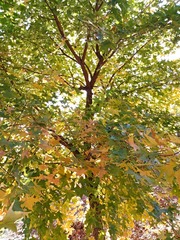 IMG_20181031_093333
