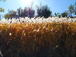 IMG_20181018_060015