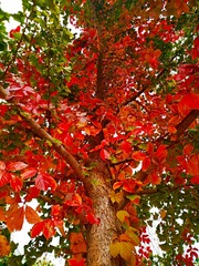 IMG_20181025_164134
