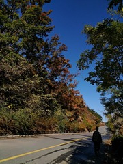 IMG_20181031_095247