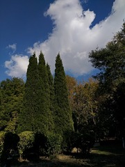IMG_20181030_140033