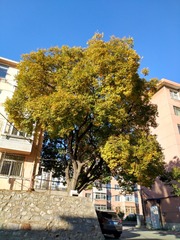 IMG_20181027_145819_HDR