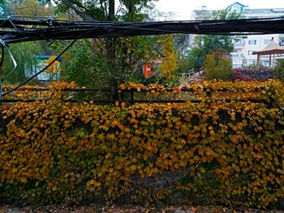 IMG_20181104_131138