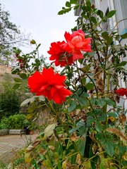 IMG_20181015_192530